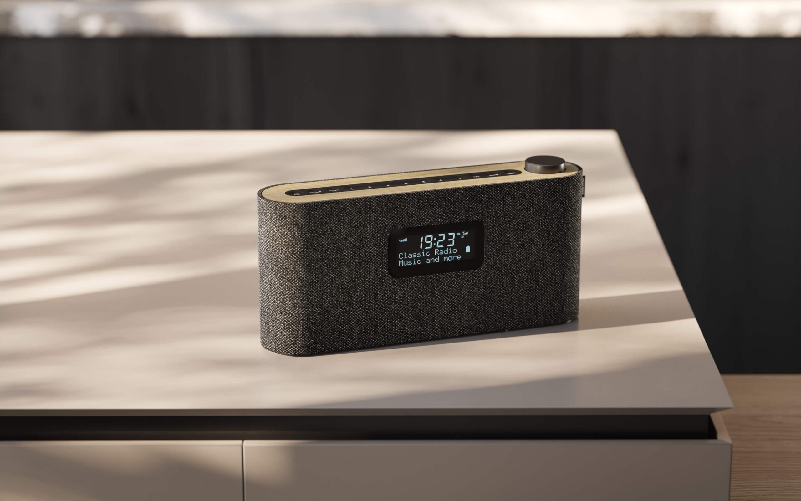 Loewe radio.frequency